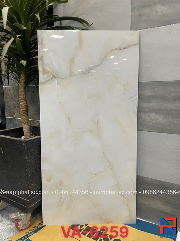 Gạch Ấn Độ nhập khẩu 60x120 cm mã NPVA6259