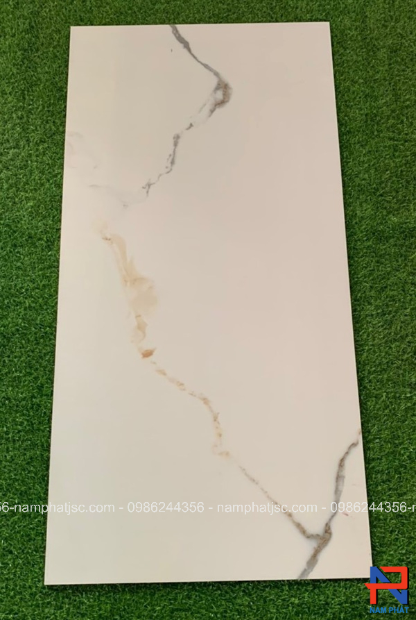 Gạch Ấn Độ nhập khẩu 60x120 cm mã NPVA6042