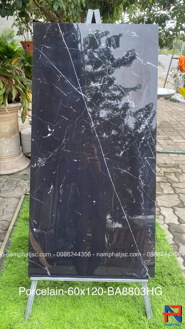 Gạch Ấn Độ nhập khẩu 600x1200 mm mã NPBA8803HG