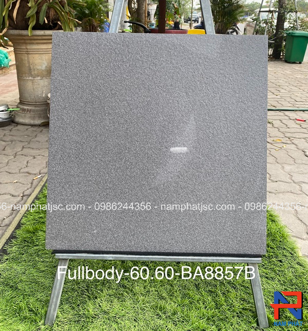 Gạch Ấn Độ kích thước 60x60 mã NPBA8857B